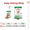 Royal Canin Mini Ageing Gravy våtfoder för hund 12x85g