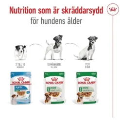 Royal Canin Mini Ageing Gravy våtfoder för hund 12x85g