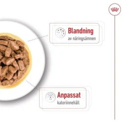 Royal Canin Mini Ageing Gravy våtfoder för hund 12x85g