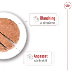 Royal Canin Mini Ageing Loaf våtfoder för hund 195 g