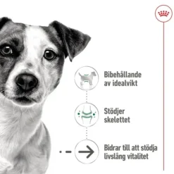 Royal Canin Mini Ageing Loaf våtfoder för hund 195 g