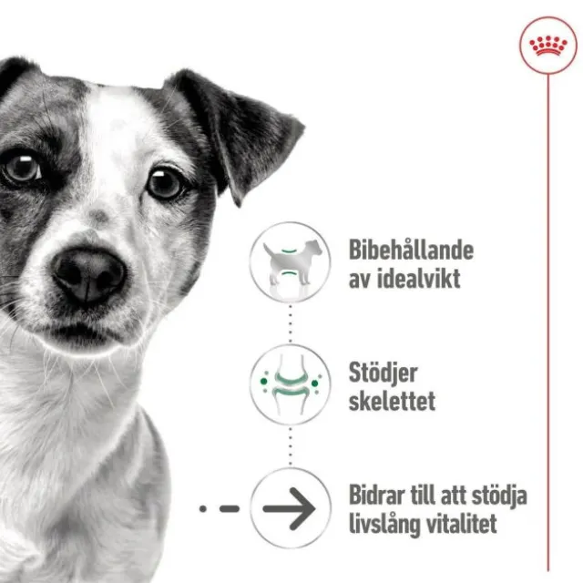 Royal Canin Mini Ageing Loaf våtfoder för hund 195 g
