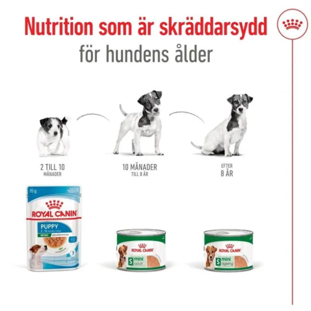 Royal Canin Mini Ageing Loaf våtfoder för hund 195 g