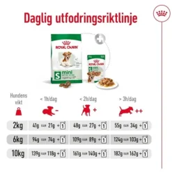 Royal Canin Mini Ageing 12+ torrfoder för hund