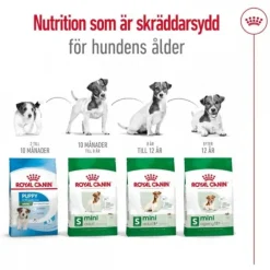 Royal Canin Mini Ageing 12+ torrfoder för hund