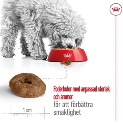 Royal Canin Mini Ageing 12+ torrfoder för hund