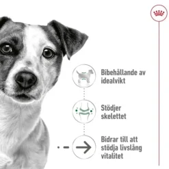Royal Canin Mini Ageing 12+ torrfoder för hund
