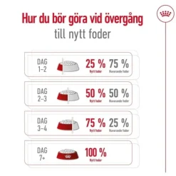 Royal Canin Mini Ageing 12+ torrfoder för hund