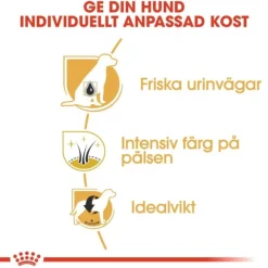 Royal Canin Miniature Schnauzer Adult torrfoder för hund