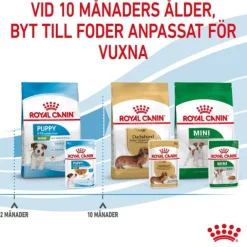 Royal Canin Mini Puppy våtfoder för hundvalp 12x85g