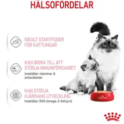 Royal Canin Mother & Babycat mousse våtfoder för katt och kattunge 195 g