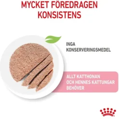 Royal Canin Mother & Babycat mousse våtfoder för katt och kattunge 195 g