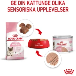 Royal Canin Mother & Babycat mousse våtfoder för katt och kattunge 195 g