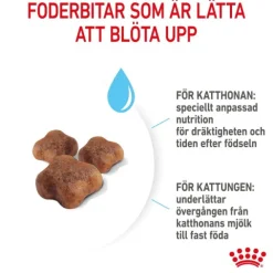 Royal Canin Mother & Babycat torrfoder för katt och kattunge