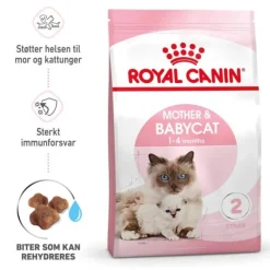 Royal Canin Mother & Babycat torrfoder för katt och kattunge