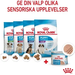 Royal Canin Mother & Babydog Starter Mousse våtfoder för hund och hundvalp 195 g