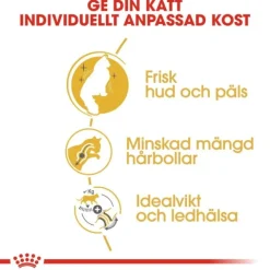 Royal Canin Norwegian Forest Cat Adult torrfoder för katt