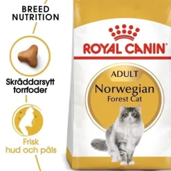 Royal Canin Norwegian Forest Cat Adult torrfoder för katt