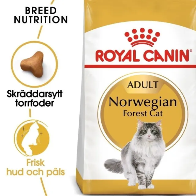 Royal Canin Norwegian Forest Cat Adult torrfoder för katt