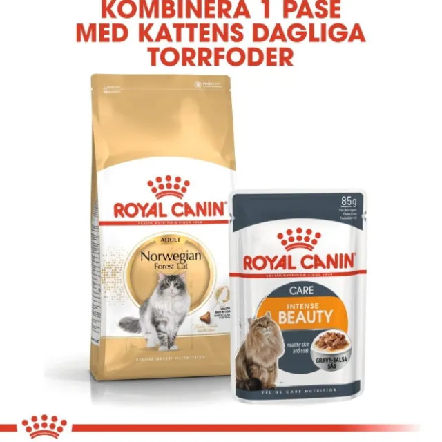 Royal Canin Norwegian Forest Cat Adult torrfoder för katt
