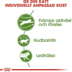 Royal Canin Outdoor Adult torrfoder för katt
