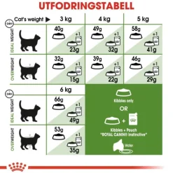 Royal Canin Outdoor Adult torrfoder för katt