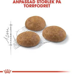 Royal Canin Outdoor Adult torrfoder för katt