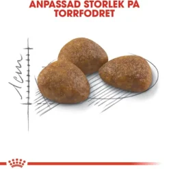 Royal Canin Outdoor 7+ Ageing torrfoder för katt