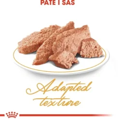 Royal Canin Persian Adult Loaf våtfoder för katt 12 x 85 g