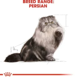 Royal Canin Persian Adult Loaf våtfoder för katt 12 x 85 g