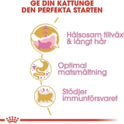 Royal Canin Persian Kitten torrfoder för kattunge