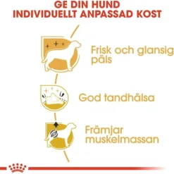 Royal Canin Poodle Adult torrfoder för hund