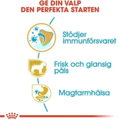 Royal Canin Poodle Puppy torrfoder för hundvalp