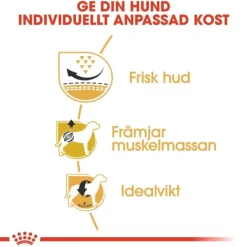 Royal Canin Pug Adult torrfoder för hund