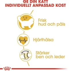 Royal Canin Ragdoll Adult torrfoder för katt
