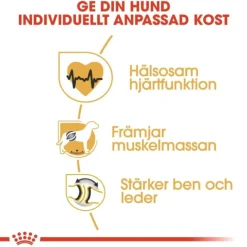 Royal Canin Rottweiler Adult torrfoder för hund