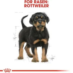 Royal Canin Rottweiler Puppy torrfoder för hundvalp