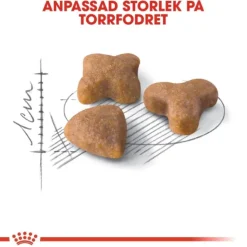 Royal Canin Sensible Adult torrfoder för katt