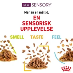 Royal Canin Sensory Mixed Box Gravy Adult våtfoder för katt 12x85 g