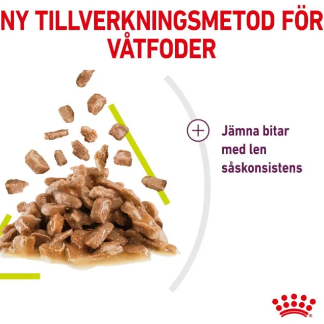 Royal Canin Sensory Mixed Box Gravy Adult våtfoder för katt 12x85 g