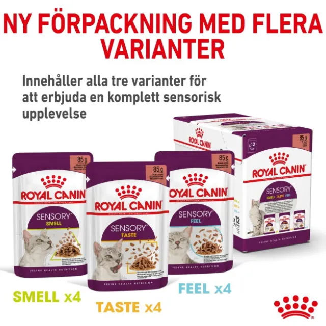 Royal Canin Sensory Mixed Box Gravy Adult våtfoder för katt 12x85 g