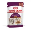 Royal Canin Sensory Taste Gravy Adult våtfoder för katt 12x85 g