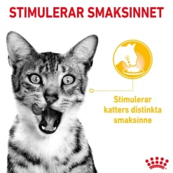 Royal Canin Sensory Taste Gravy Adult våtfoder för katt 12x85 g