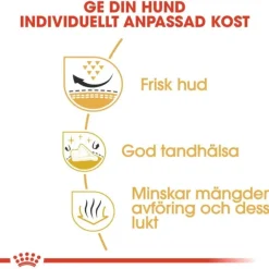 Royal Canin Shih Tzu Adult torrfoder för hund