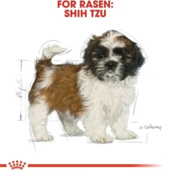 Royal Canin Shih Tzu Puppy torrfoder för hundvalp