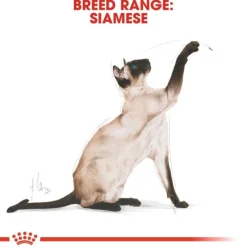 Royal Canin Siamese Adult torrfoder för katt
