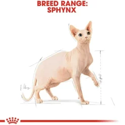 Royal Canin Sphynx Adult torrfoder för katt