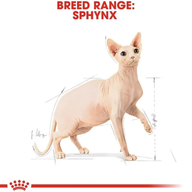 Royal Canin Sphynx Adult torrfoder för katt