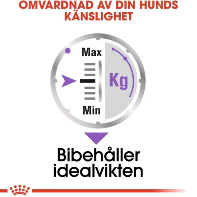 Royal Canin Sterilised Adult Loaf våtfoder för hund 12x85 g