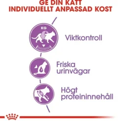 Royal Canin Sterilised Adult torrfoder för katt